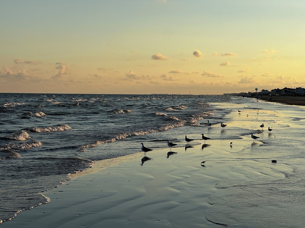 Beachfront Melody by Ryson Vacation Rentals