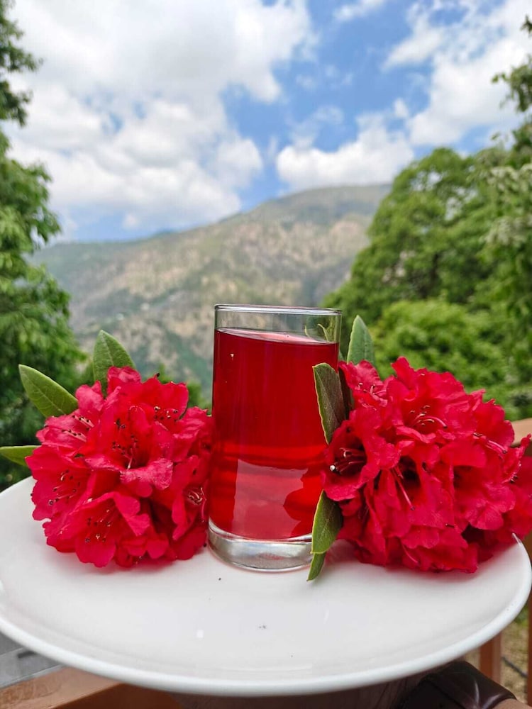 Nirmaya Resort