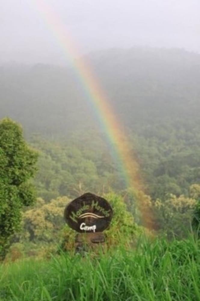 Udzungwa Forest Camp