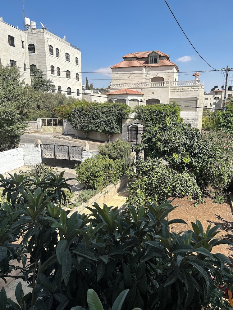 OliveTreeHostel, photo 42