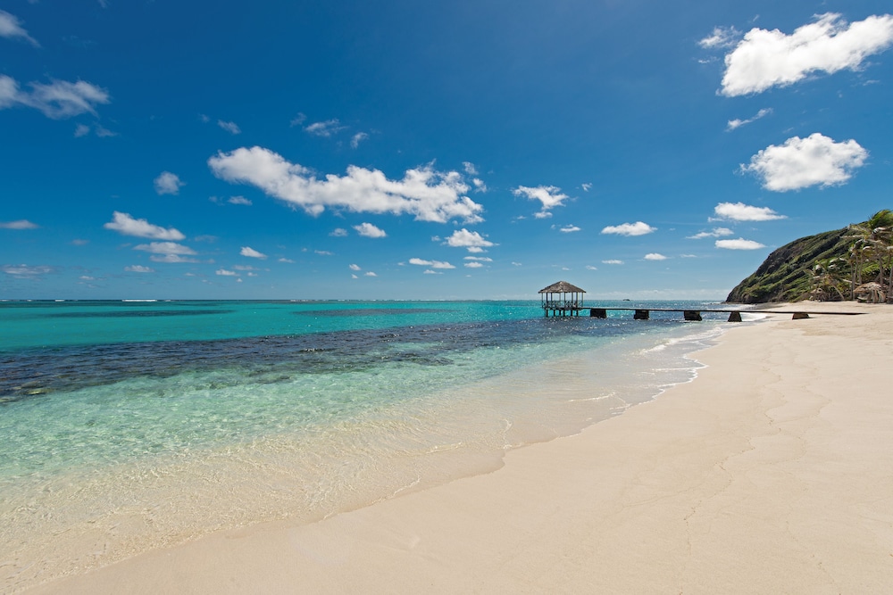 Petit St. Vincent