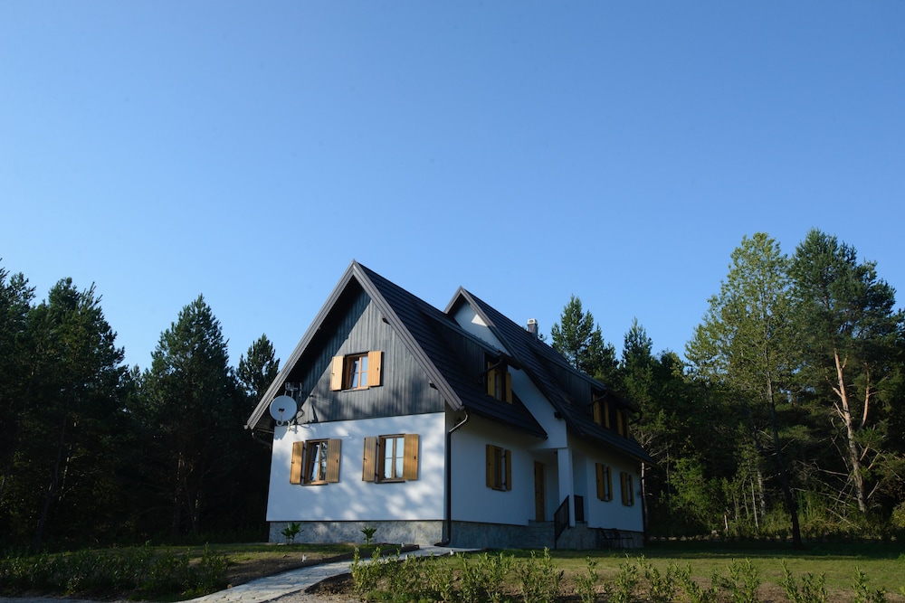 Photo 43