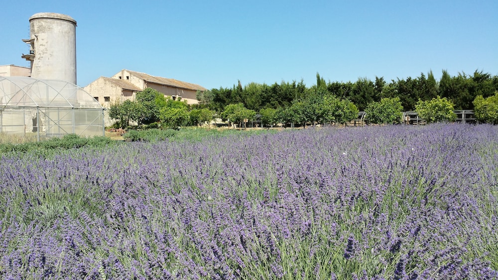 Naturalis Bio Resort & Spa