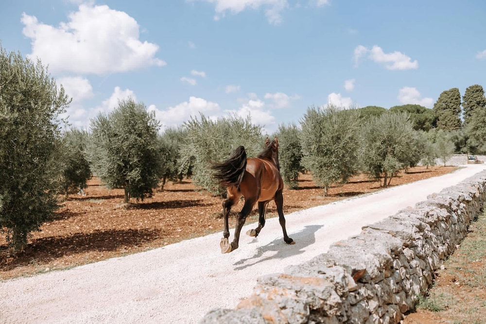 Masseria Lamacoppa Exclusive Estate Near Ostuni