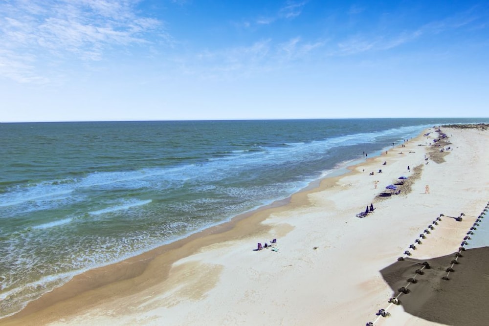 1403 Ocean Club by Avantstay Beach Home w/ Great Kitchen view 4