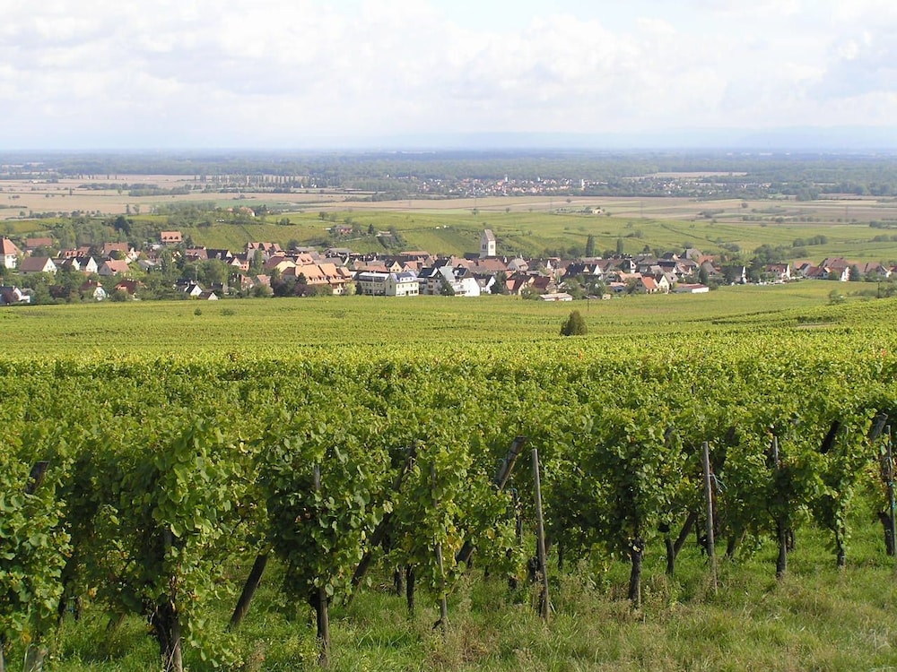 Centre Le Mittel