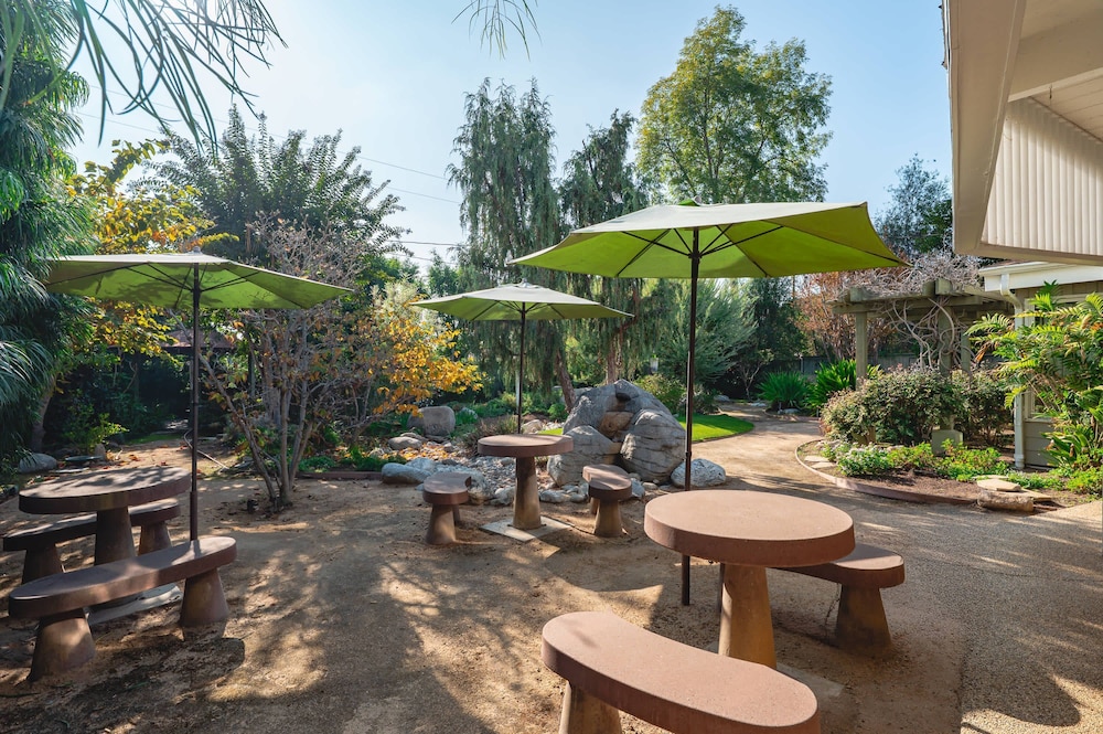 Bright Family Getaway Large Backyard Oasis Patio