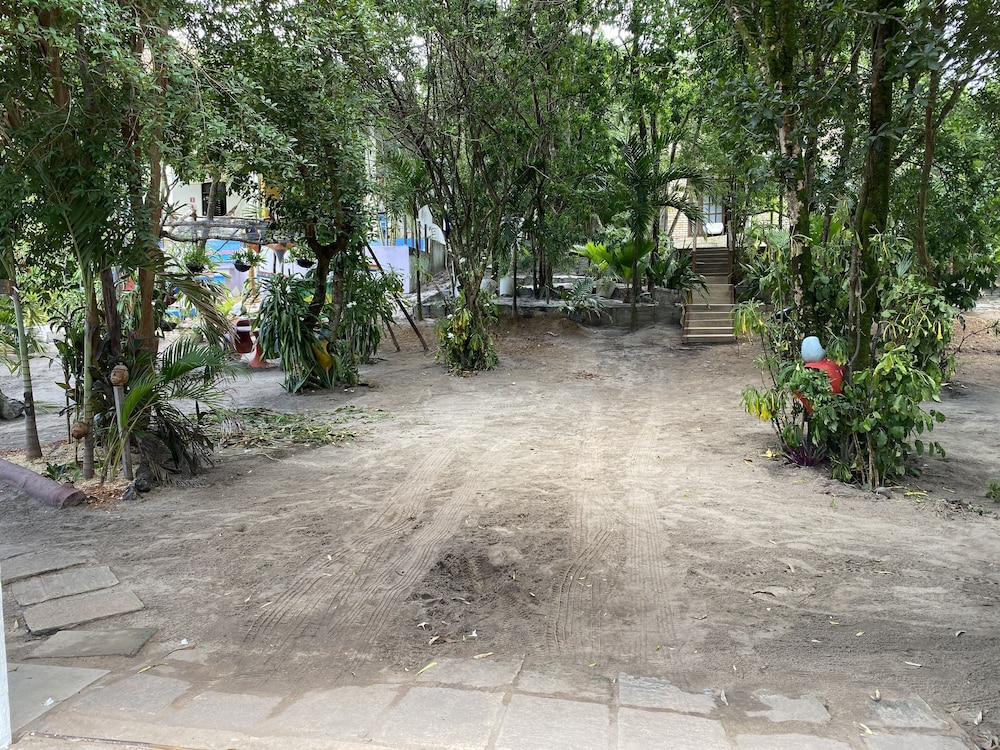 Macaco Surf House - Hostel