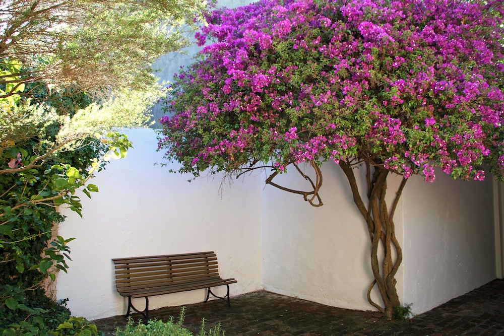 La Manuel Lobo Posada