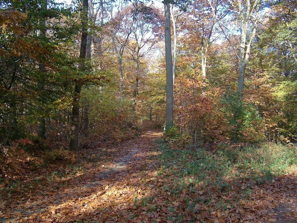 Photo 29