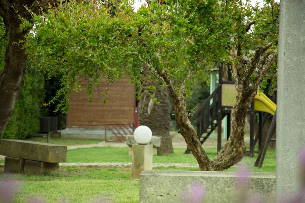 Photo 29