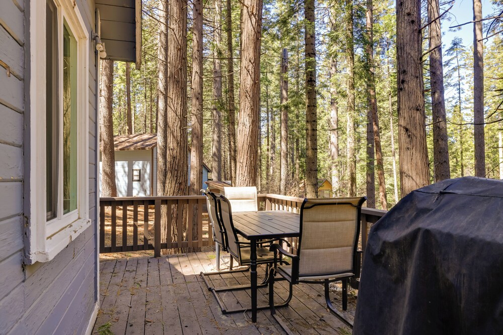 Hike, Ski & Sip: Arnold Cabin 4 Mi to State Park!