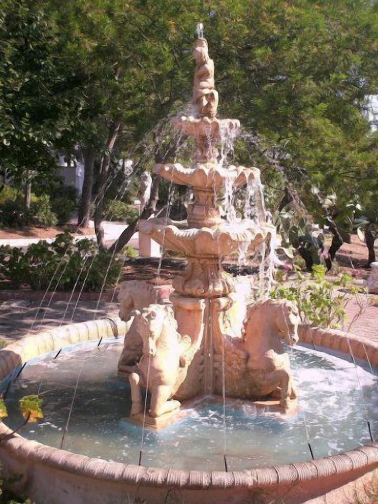 Photo 31