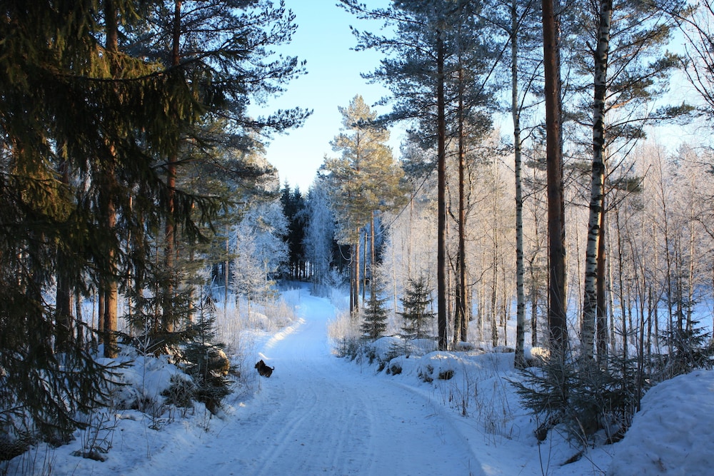 Photo 46