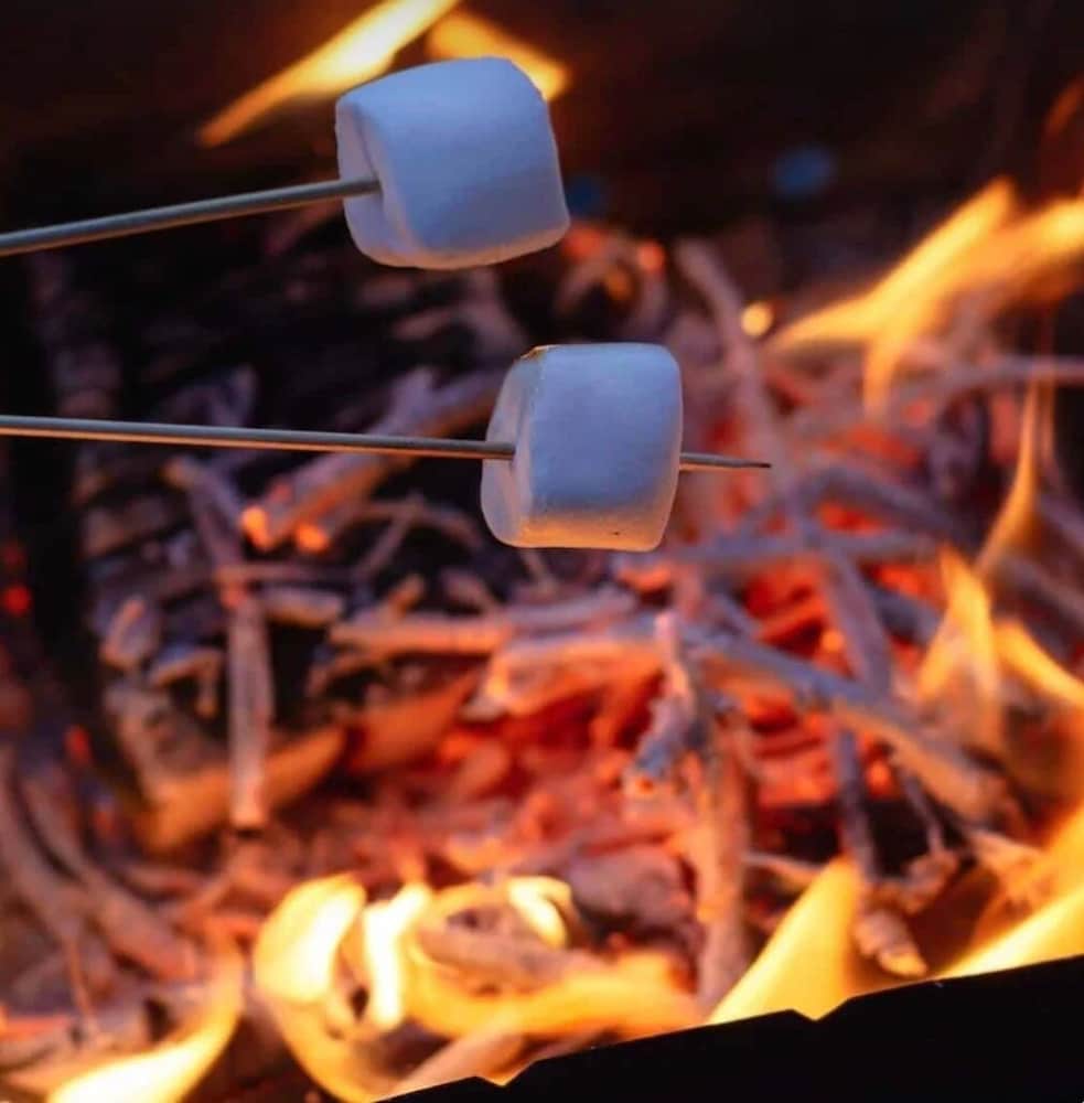 Cozy Dog Friendly Hot Tent With Log Burner & Logs