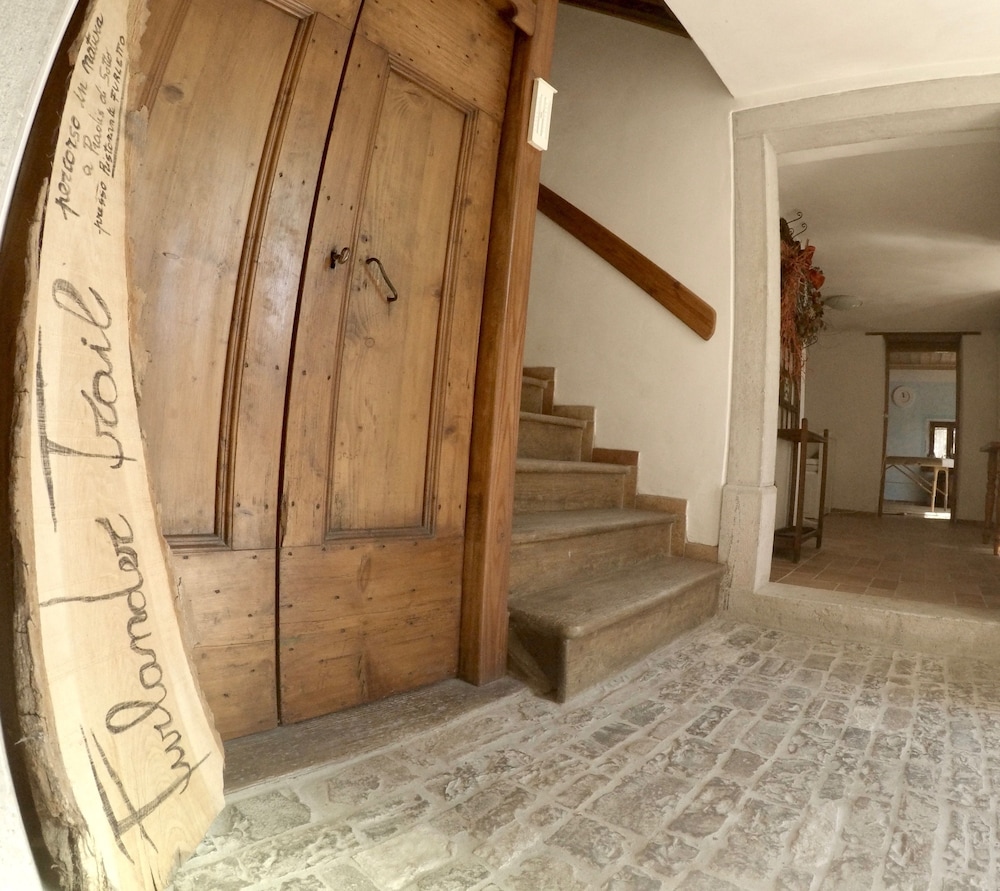 4lander House Balins