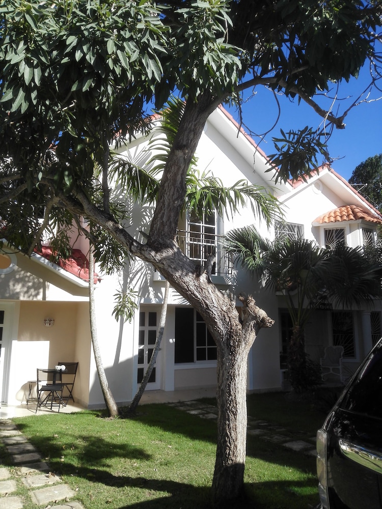 Photo 41