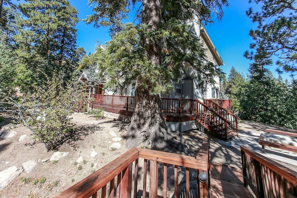 The Treehaus