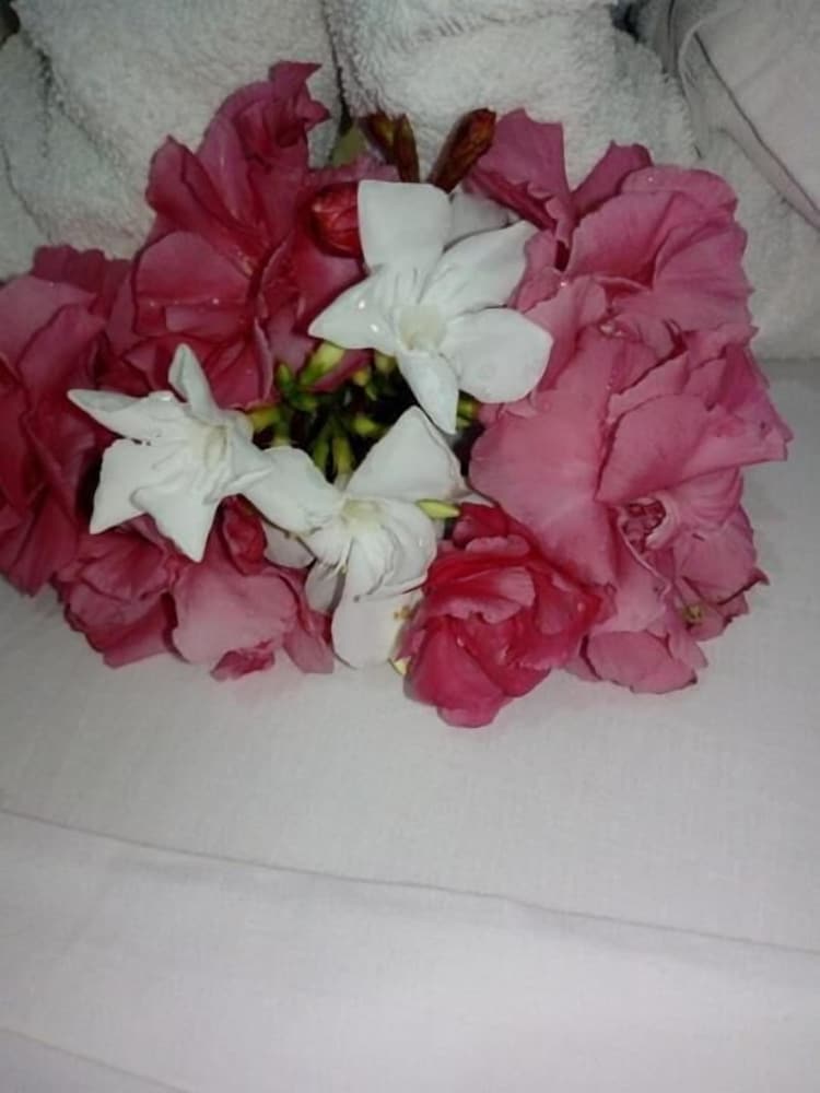 Photo 38