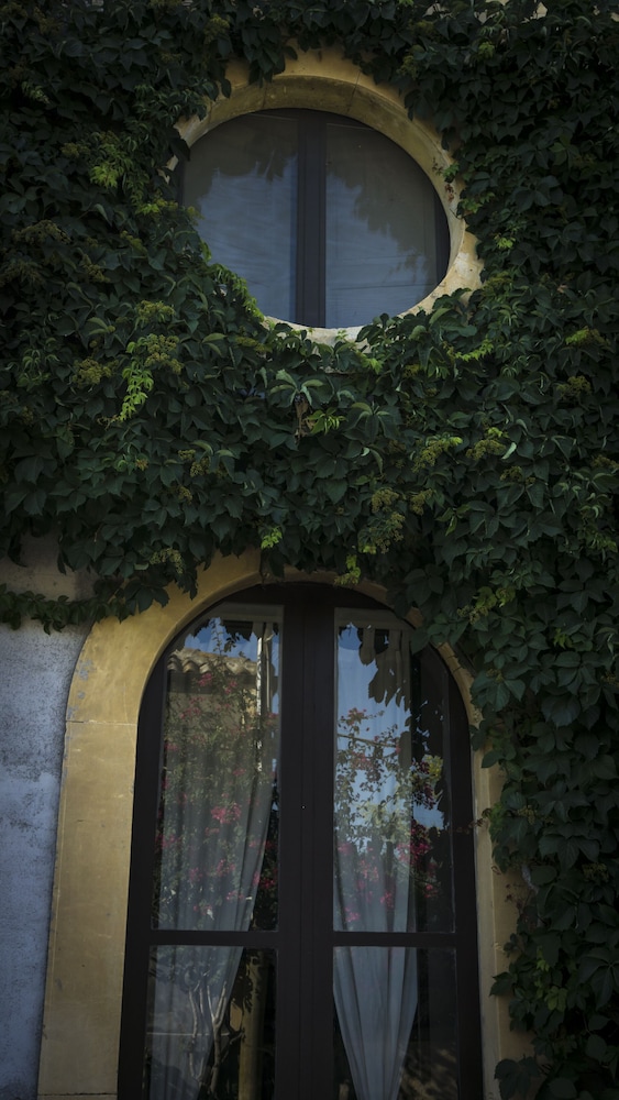 Tenuta del Gelso