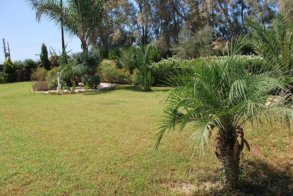 Photo 45