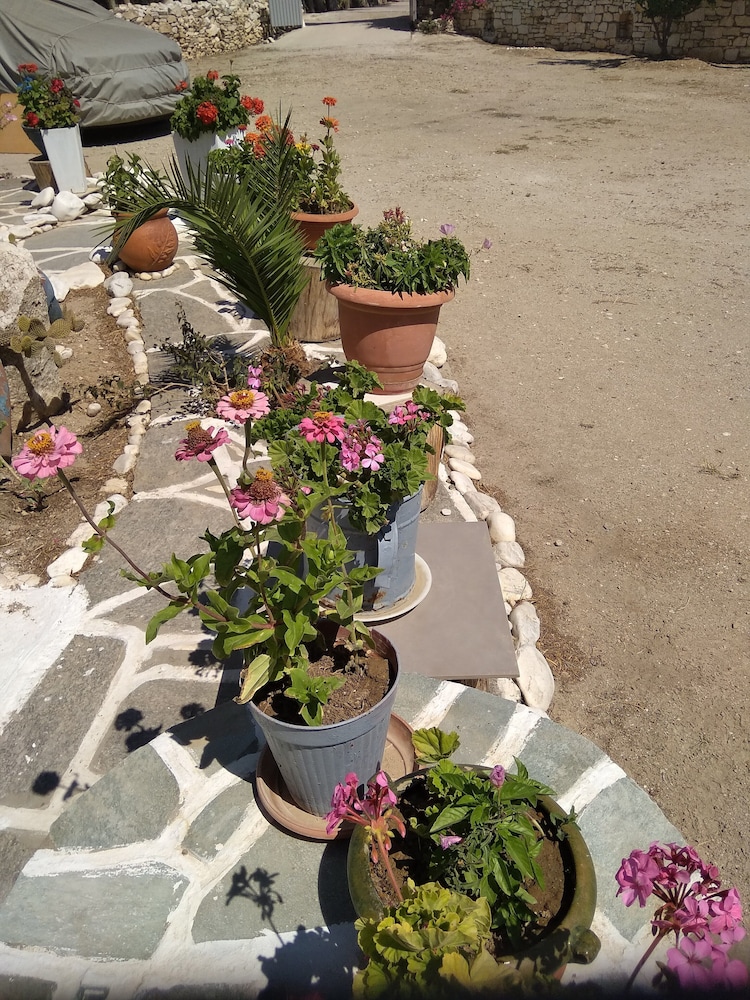 Photo 38