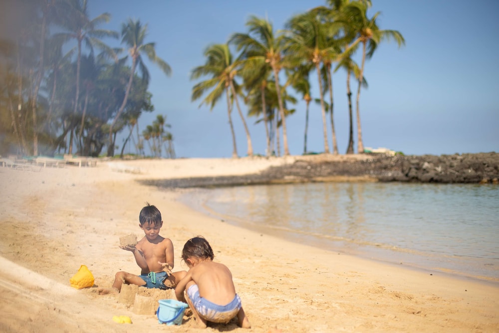 Fairmont Orchid - Property Image 149