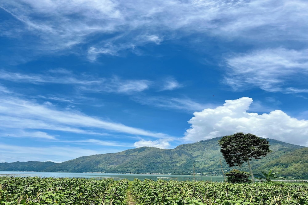 Batur Sunsun Kintamani