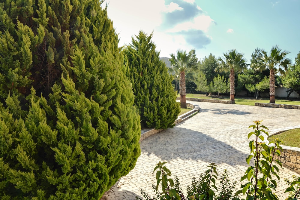 Leone Luxury Villas