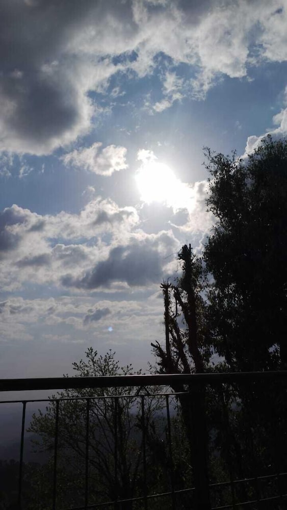 Photo 33