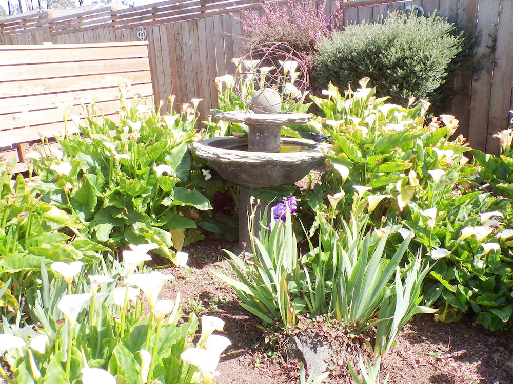 Photo 44