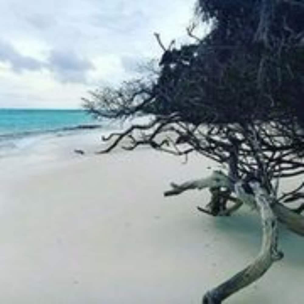 Veli Thoddoo Inn