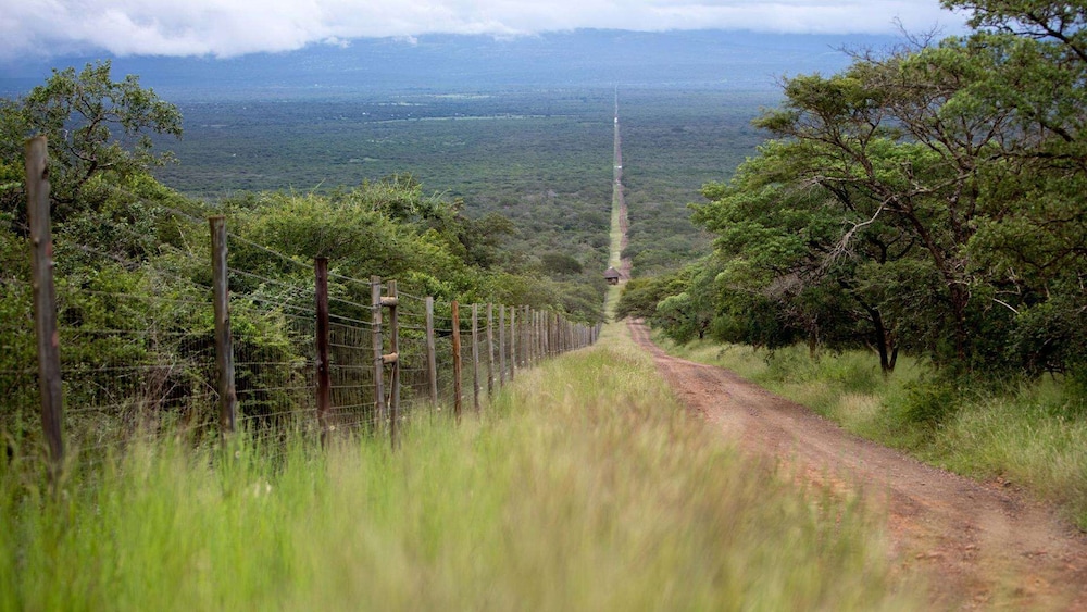 Royal Thonga Safari Lodge