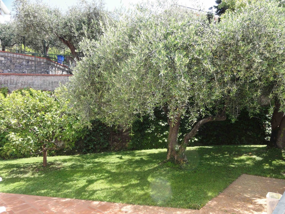 Photo 26