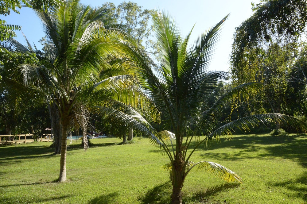 Howler Monkey Resort
