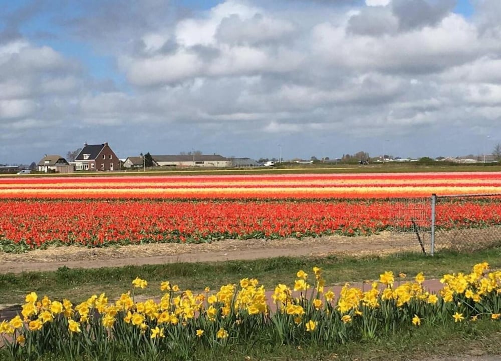 Lovely Home in Noordwijkerhout near Sea Beach