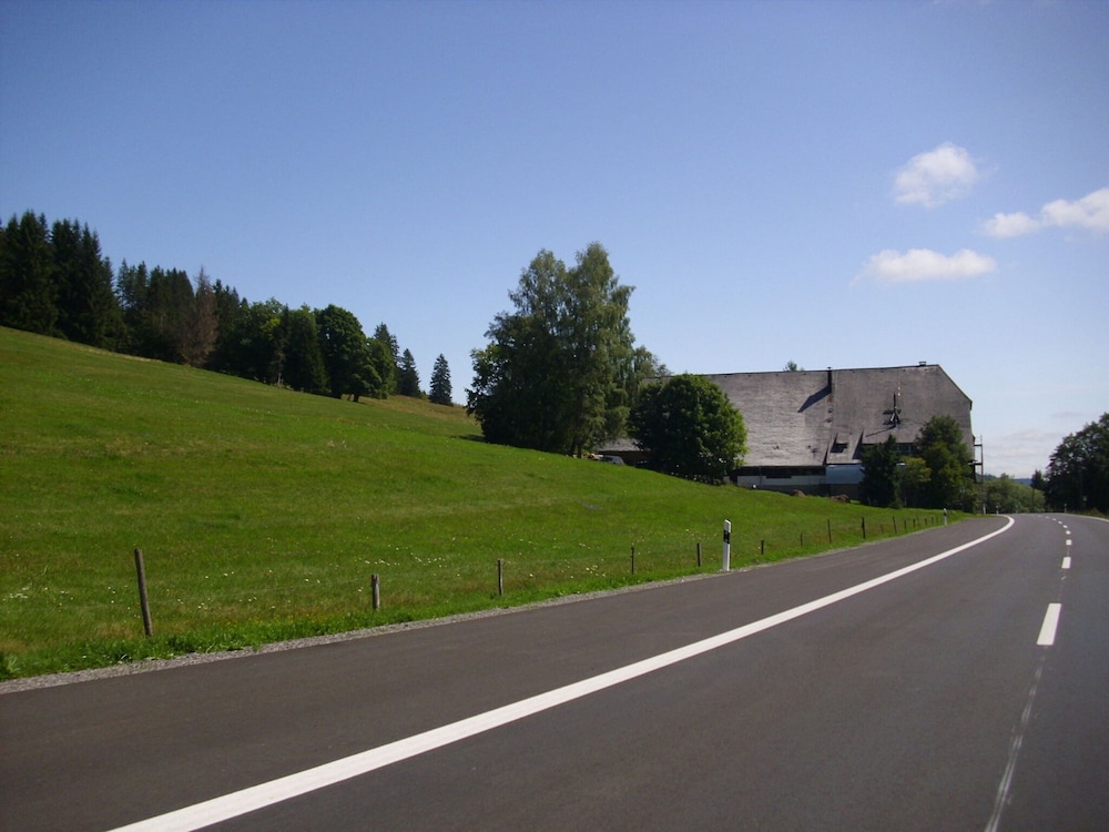 Photo 51