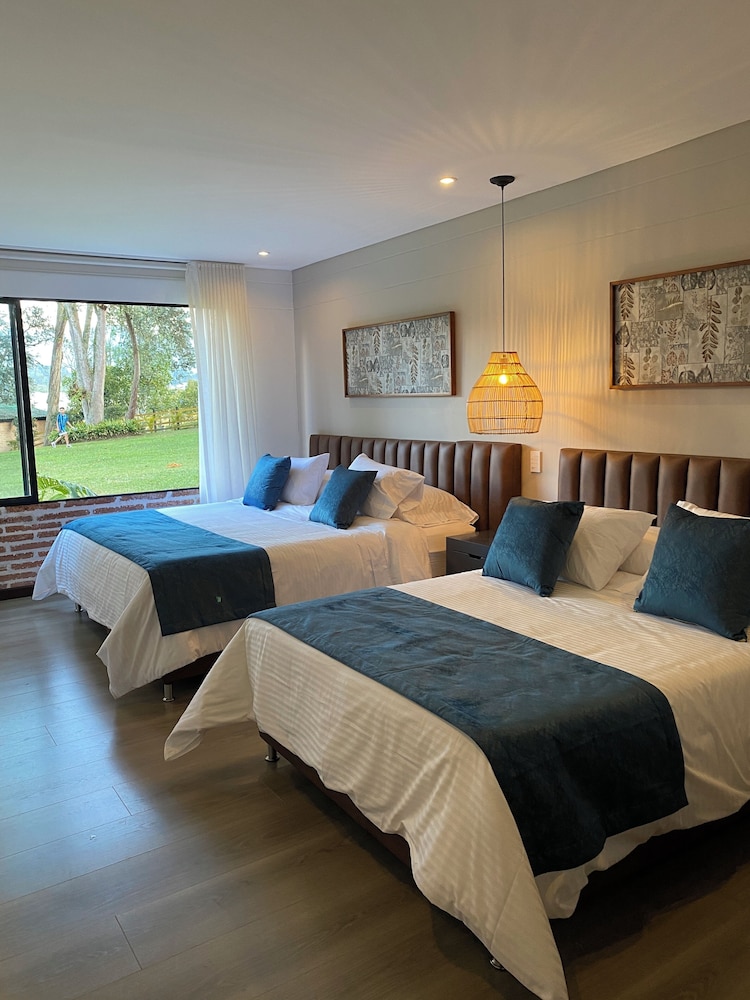 Monarch Campestre
