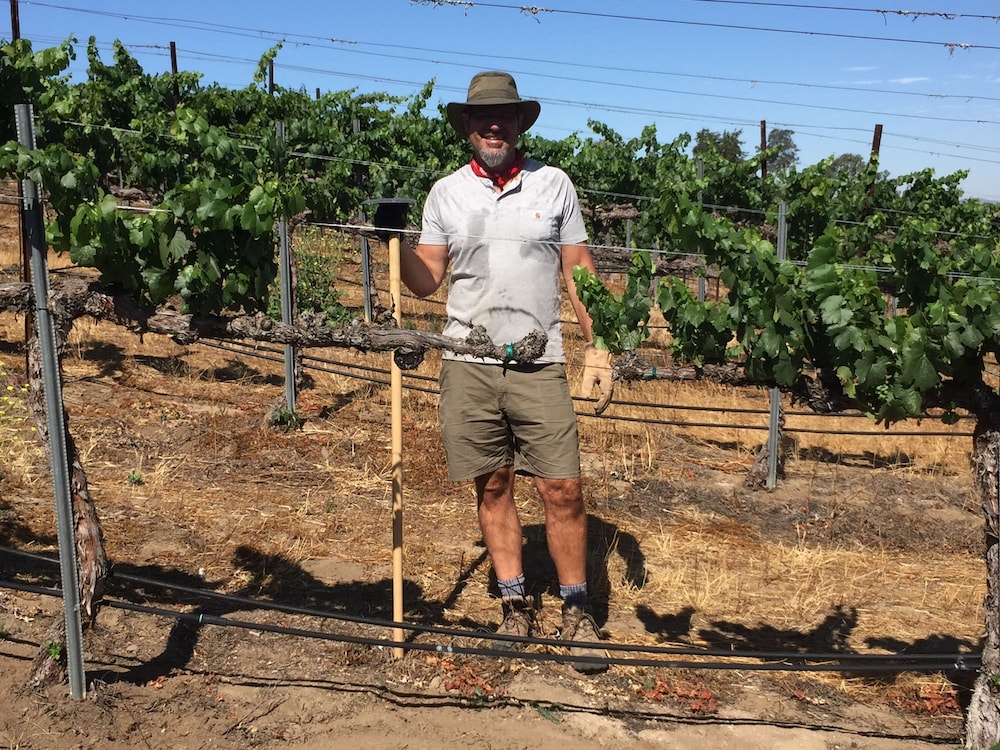 Domaine Chardonnay