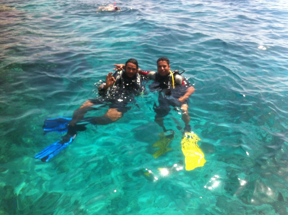 Shark Bay Oasis