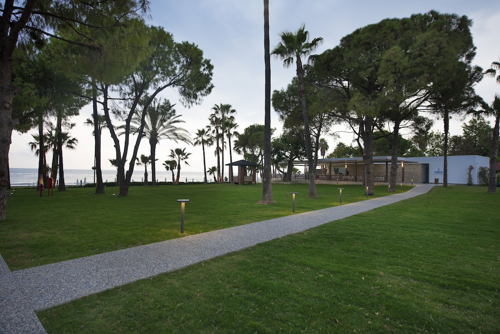 Photo 281