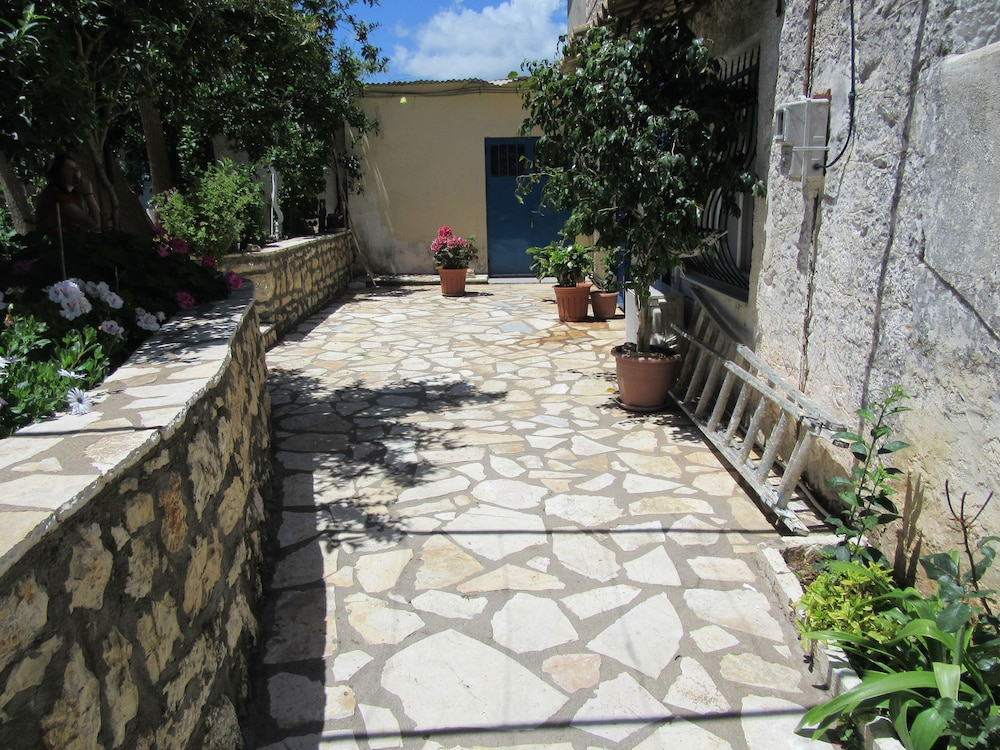 Photo 6