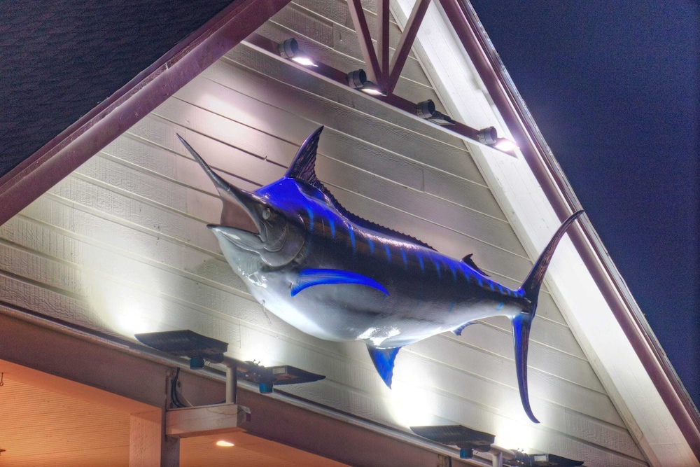 Sailfish & Dolphin Buyout by Avantstay 2 Units, Marina Front + View, Patio