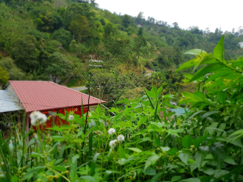 Ella River House