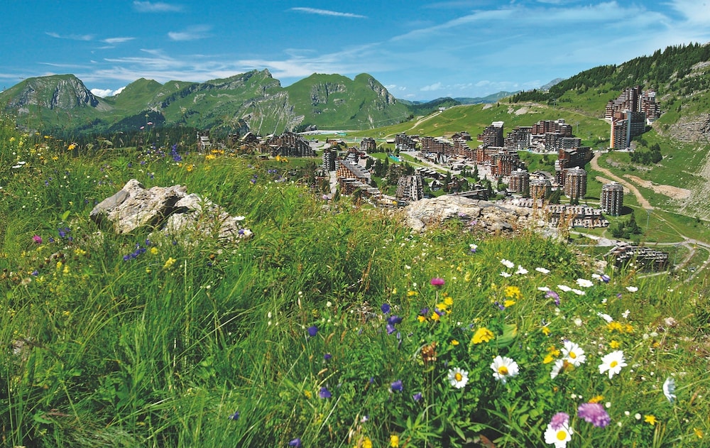 Photo 40