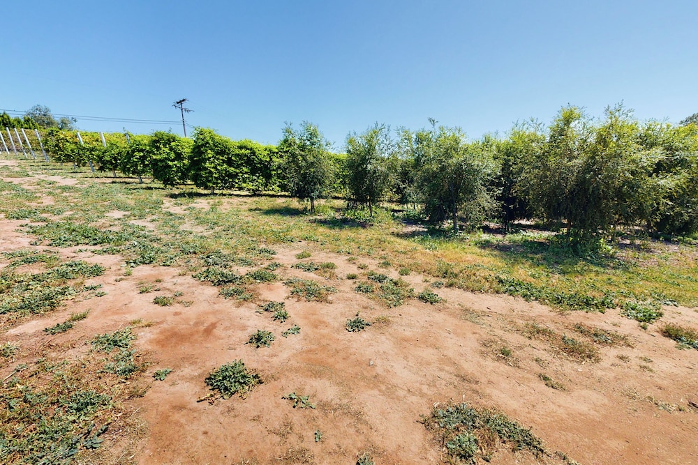 Two Dog-friendly Home, Close to Wine Country