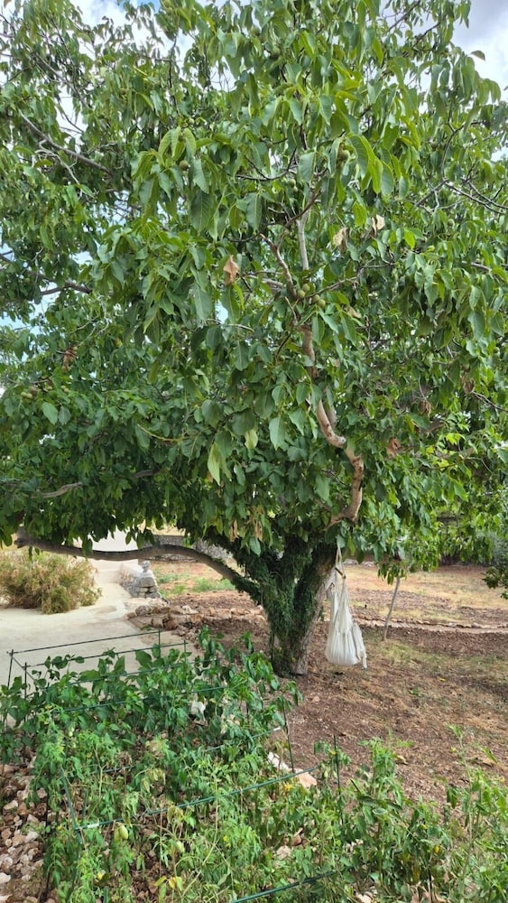 Dimora Elisabetta