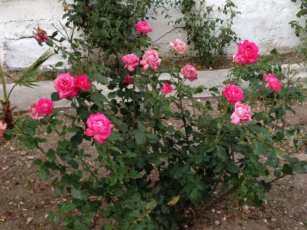 Photo 32