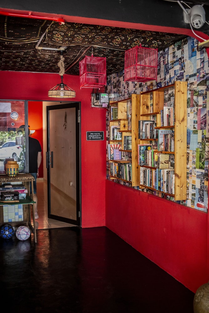 House of Lion Hostel and Guesthouse photo 1