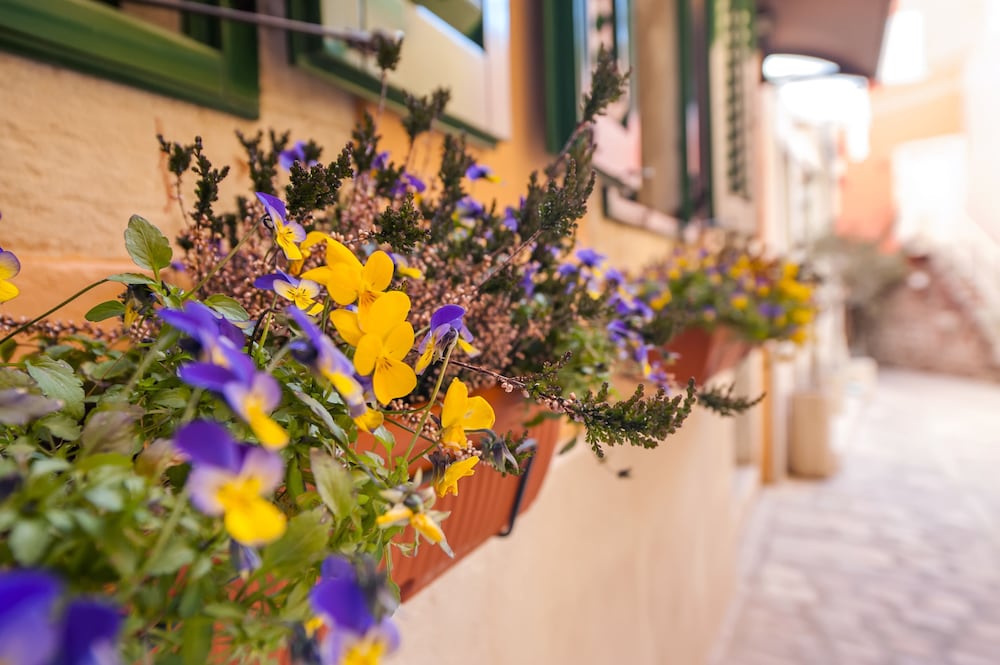 Rooms Sotto i Volti